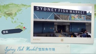 【澳洲行】雪梨魚市場 Sydney Fish Market