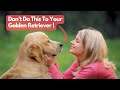 16 Things Golden Retrievers Hate That Humans Do | Topissimo Animals
