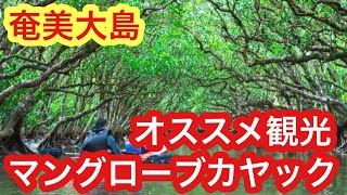 【奄美大島】オススメ観光！マングローブカヤック！