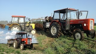 ☆150 Ton Obornika vs 2x Ursus Czyli Obornik 2018 u Agro Rogusia! | Ursus c360 \u0026 c330☆