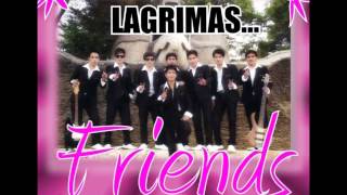 GRUPO LAGRIMAS MAS Y MAS / Lucerito