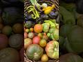 Huge garden harvest #gardenharvest #homegrown #garden #growyourownfood #harvesttime #harvest