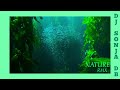 DJ Sonja DB - NATURE - Remix (Official Video)