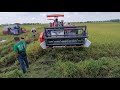 Yanmar Yh700 (70hp) Rice Combine Harvester vs Kubota DC93 (93hp)  #DERBY