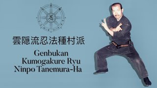 Genbukan Kumogakure Ryu Ninpo Tanemura-Ha 雲隠流忍法種村派