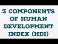 3 COMPONENTS OF HUMAN DEVELOPMENT INDEX (HDI)