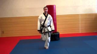 Warren Levi Karate- Ushiro Geri (Back Kick) Instructional