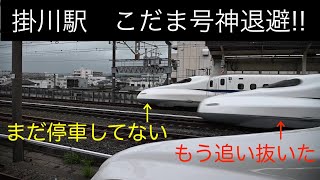 【東海道新幹線】掛川駅名物   こだま号　退避