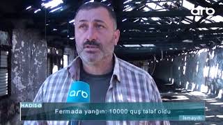 İsmayıllıda ferma yandı - ARB TV