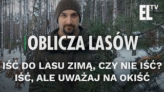 Iść do lasu zimą, czy nie iść? Iść, ale uważaj na okiść | Oblicza lasów #46