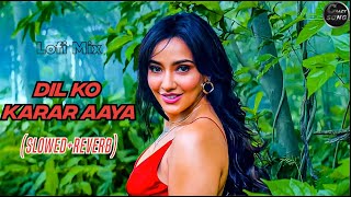 Dil Ko Karar Aaya | (Slowed+Reverb) | Crazy Song | Non Copyright Song | @Indian Song |