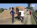 રામાપીર ના સામૈયા અને ઘૉડીયુ ની મૌજ horseride horselover horseing farm horsriding horseplay