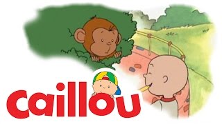 Caillou - Caillou Goes to the Zoo  (S01E23) | Videos For Kids