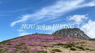 4K 여자 홀로 제주도 백패킹 50km | 한라산둘레길 윗세오름 |