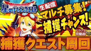 【🔴 星ドラ】攻略班と行く捕獲クエスト周回生放送【Game8ドラクエ攻略部】