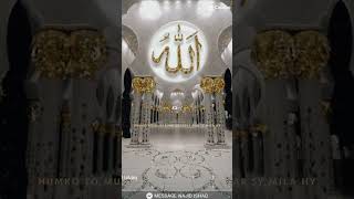 islamic videos #Allah #Muhammad#subhanallah #mashaallah#viral videos