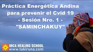 Práctica Energética Andina \