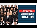 How to Navigate Mediation and Litigation Process - ChooseGoldman.com