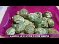 아기멜론 장아찌 담그는 법🍈아기메론 장아찌 만들기🍈장아찌 레시피🍈pickled young melon