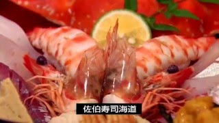 佐伯市の観光ガイド