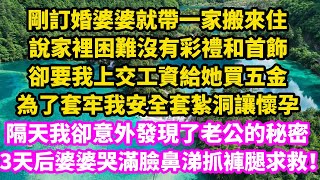 剛訂婚婆婆就帶一家搬來，說家裡困難沒有彩禮和首飾，卻要我上交工資給她買五金，為了套牢我安全套紮洞讓懷孕，隔天我卻意外發現了老公的秘密，10天后婆婆哭滿臉鼻涕抓褲腿求救！