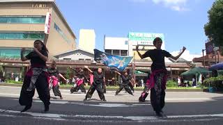 元気ハツラツ市２０１８　０７月　【桜愛】②　神剛