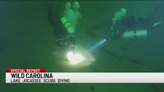 Wild Carolina: Scuba Diving at Lake Jocassee