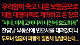 실화사연-우리엄마 죽고 나온 보험금으로 대뜸 대형아파트 계약하고 온 장모 \