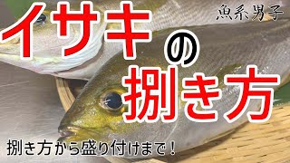 【イサキの捌き方】捌き方から盛り付けまでこの動画１つで解決！