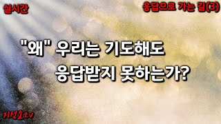 응답으로 가는 길(3) \