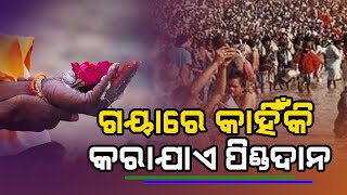 ଗୟାରେ ପିଣ୍ଡଦାନ ପଛରେ କ’ଣ ରହିଛି ରହସ୍ୟ? Why people do Pinda Daan in Gaya?