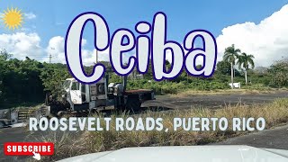 Roosevelt Roads, Ceiba, PUERTO RICO in 4K! Drive through abandoned areas! 2024