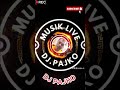 DJ PAJKO MIX 3 Best music mix 2024 Remixe s