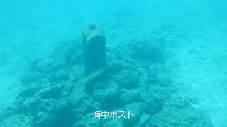 砂辺 海中ポスト