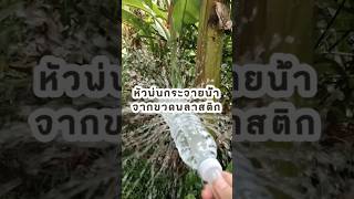 ทำหัวพ่นกระจายน้ำจากขวดพลาสติก #เกษตรป๊อบป๊อบ #diy #โตเต็มฟาร์ม #gardening #ปลูกผักกินเอง