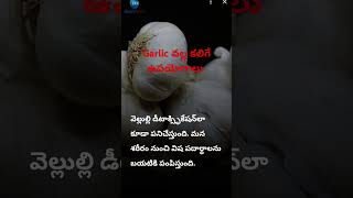 #Garlic#ఫుడ్#trending#wightloss trips#health#trending#viralvideo#vlogs#ty #reel#healthtrips#healthy