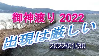 御神渡り 2022 湖面の氷は解けて出現はもう無理？