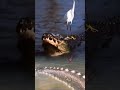 PERTARUNGAN SERU ! Buaya vs King Sturgeon #animals #wildlife #wildanimal #crocodile #birds