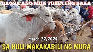 Dagsa ang mga Toreteng baka nabibili lang ng mura..