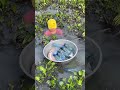 Ladie bottle at fishing inthe  lake#shortvideo #youtubeshorts #subscribe #comment #