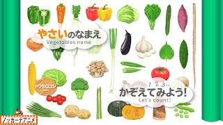 【32種類】野菜のなまえをおぼえよう＆数をかぞえてみよう！知育【赤ちゃん・子供向けアニメ】Learn vegetables name | Let's count!