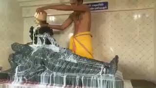 Watch - Palabhishekam to the dieties🙏