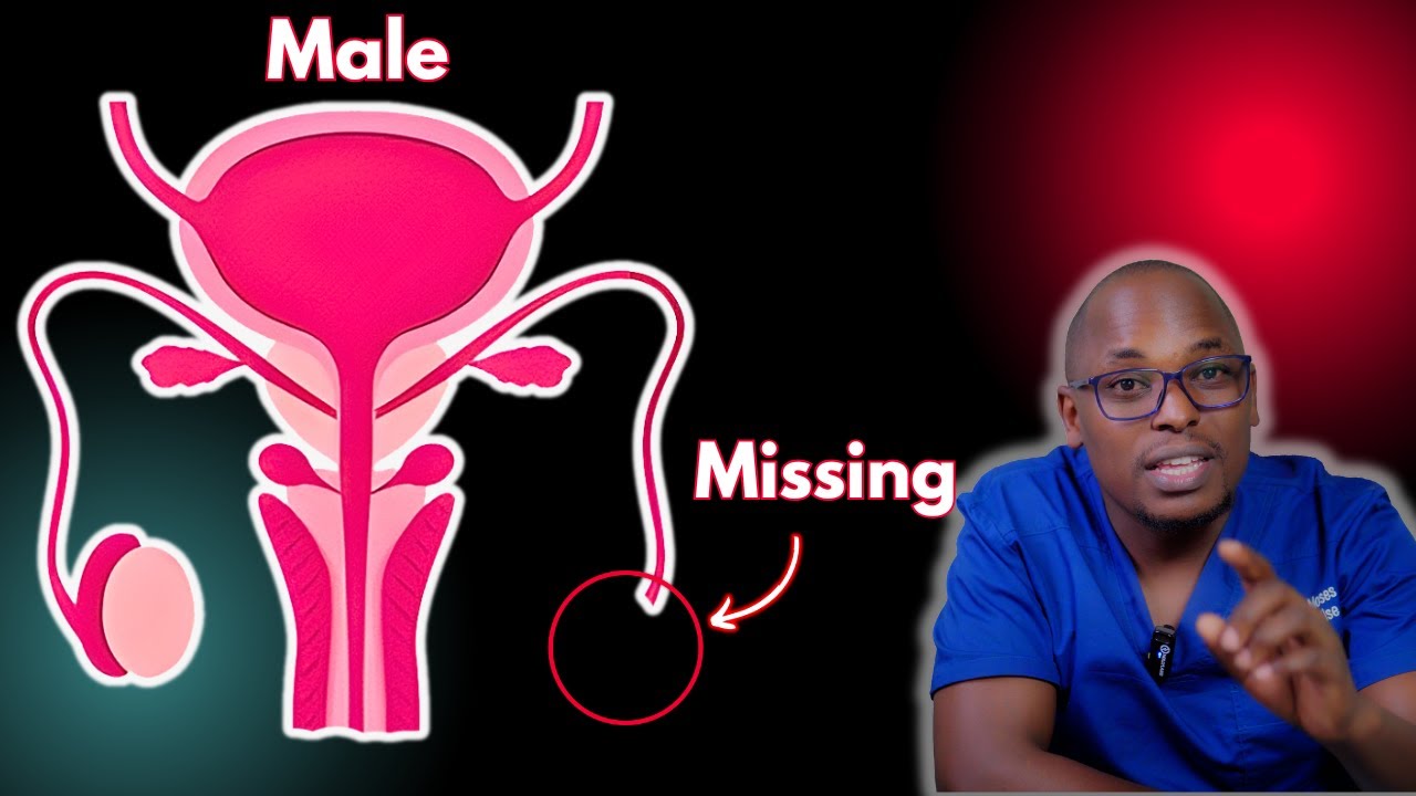 10 Things You Should Never Do Youtube