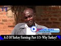 part 1 2 a z of turkey farming why turkeys strength over other poultry