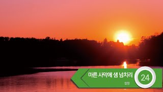 [중앙아트] ‘하나님의 시선 7집’ 24. 마른 사막에 샘 넘치리 - 합창