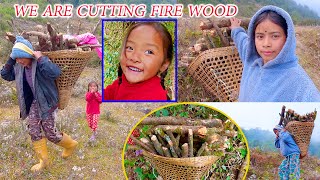 finding firewood with my brother \u0026 sister || sumnima Rai || @SumnimaRaini