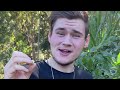 Tasting Lemon Aspen fruit in the permaculture food forest