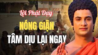 Lời Phật Dạy Về NÓNG GIẬN – Nghe Ngay Lúc Này – Tâm Dịu Lại Tức Thì