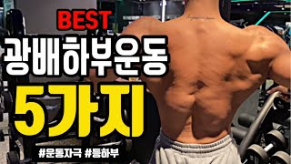 광배하부 채우는 등운동 5가지 / 꼭 봐야하는 등하부 등운동루틴 (운동자극 / workout motivation)