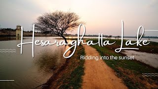 Discover the Beauty of Hesaraghatta Lake: A Scenic Adventure in Bangalore